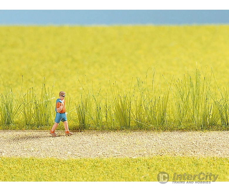 Noch 07060 HO, N, Z Reed Assortment 9 Noch 07060 HO, N, Z Reed Assortment - Image 7