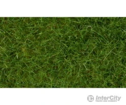 Noch 07102 HO, N, Z Wild Grass -Noch Shop noch 07102 ho n z wild grass static applicators 688