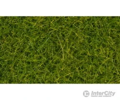 Noch 07112 HO, N, Z Wild Grass XL, Light Green, 12 Mm -Noch Shop noch 07112 ho n z wild grass xl light green 12 mm static applicators 970