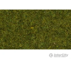 Noch 07117 HO Wild Grass "Meadow"