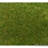 Noch 07118 HO Wild Grass, Medium Green -Noch Shop noch 07118 ho wild grass medium green static applicators 583