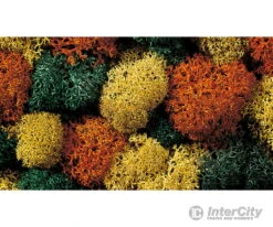 Noch 08620 HO, N, Z Lichen -Noch Shop noch 08620 ho n z lichen trees vegetation 751