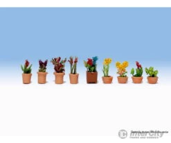 Noch 14080 N Ornamental Plants In Flowerpots