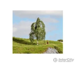 Noch 20121 HO, N, Z NOCH Master Tree Silver Birch