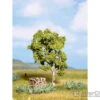 Noch 21640 HO, N Birch -Noch Shop noch 21640 ho n birch trees vegetation 617