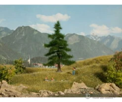 Noch 21810 HO, N Nordmann Fir Tree