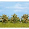 Noch 25114 HO, N Orange Trees -Noch Shop noch 25114 ho n orange trees vegetation 375