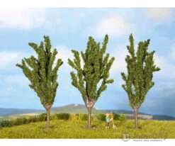 Noch 25525 N, Z Poplar Trees -Noch Shop noch 25525 n z poplar trees vegetation 730