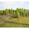Noch 26901 HO Deciduous Trees -Noch Shop noch 26901 ho deciduous trees vegetation 541