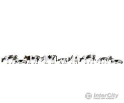 Noch 36721 N Cows, Black-white