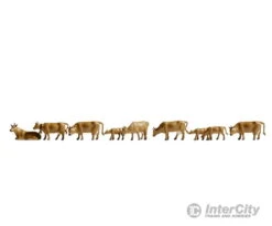 Noch 36722 N Cows, Dark Brown