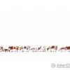 Noch 36723 N Cows, Brown-White
