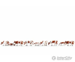 Noch 36723 N Cows, Brown-White