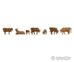 Noch 47216 Cows, Brown