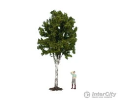 Noch 68010 G Birch Tree